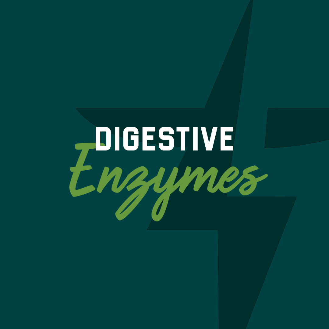 Digestive Enzymes