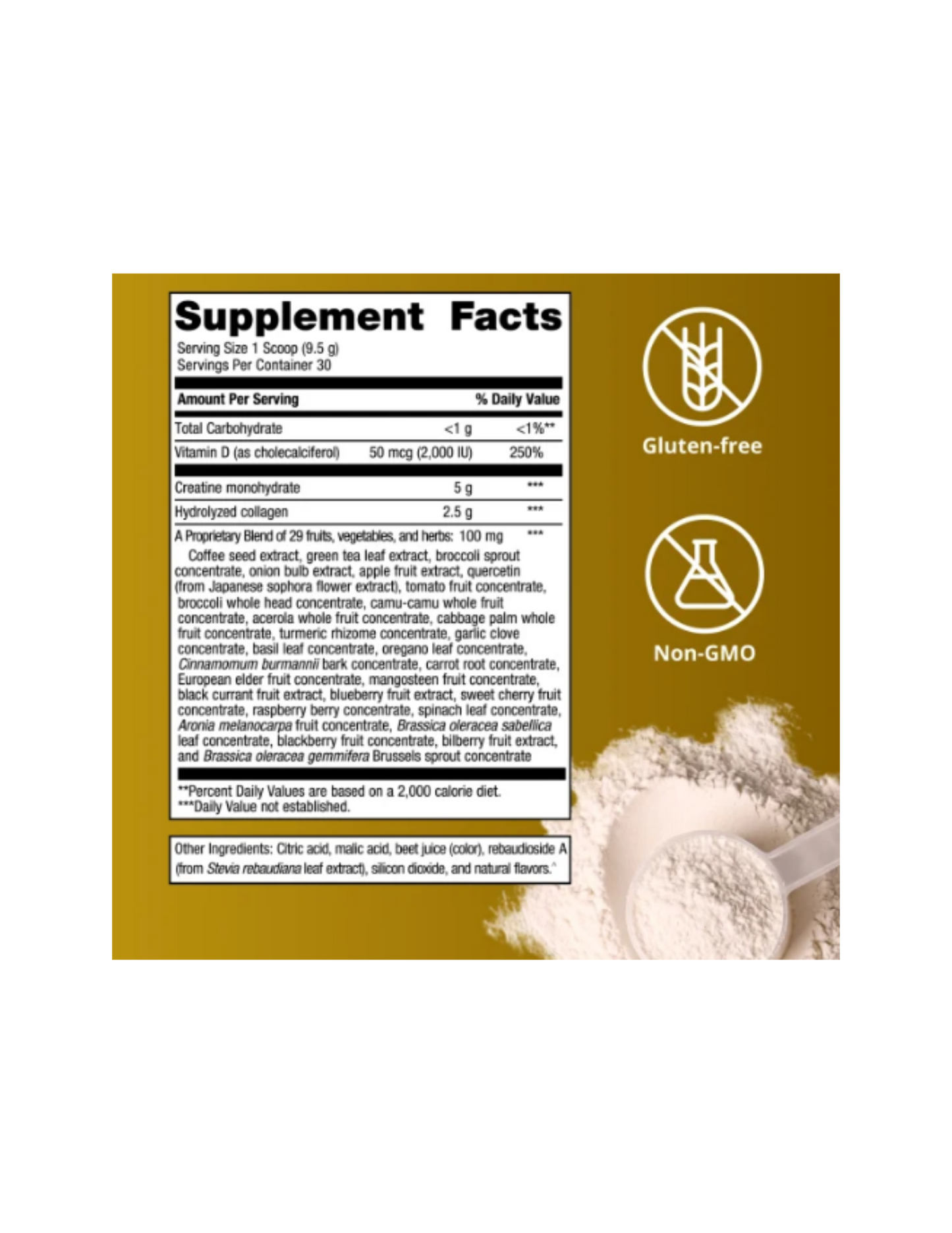 StayStrong+™ Brain & Body Powder 30 Scoops