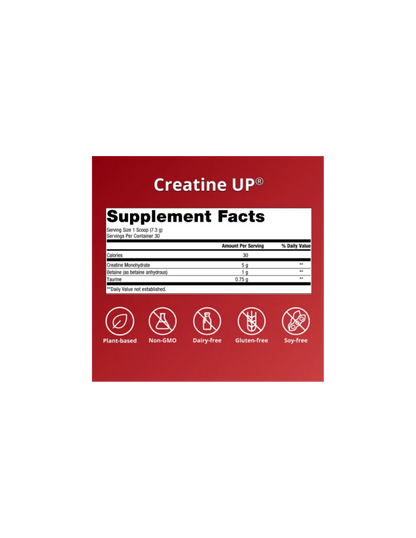 Creatine UP® 30 Scoops